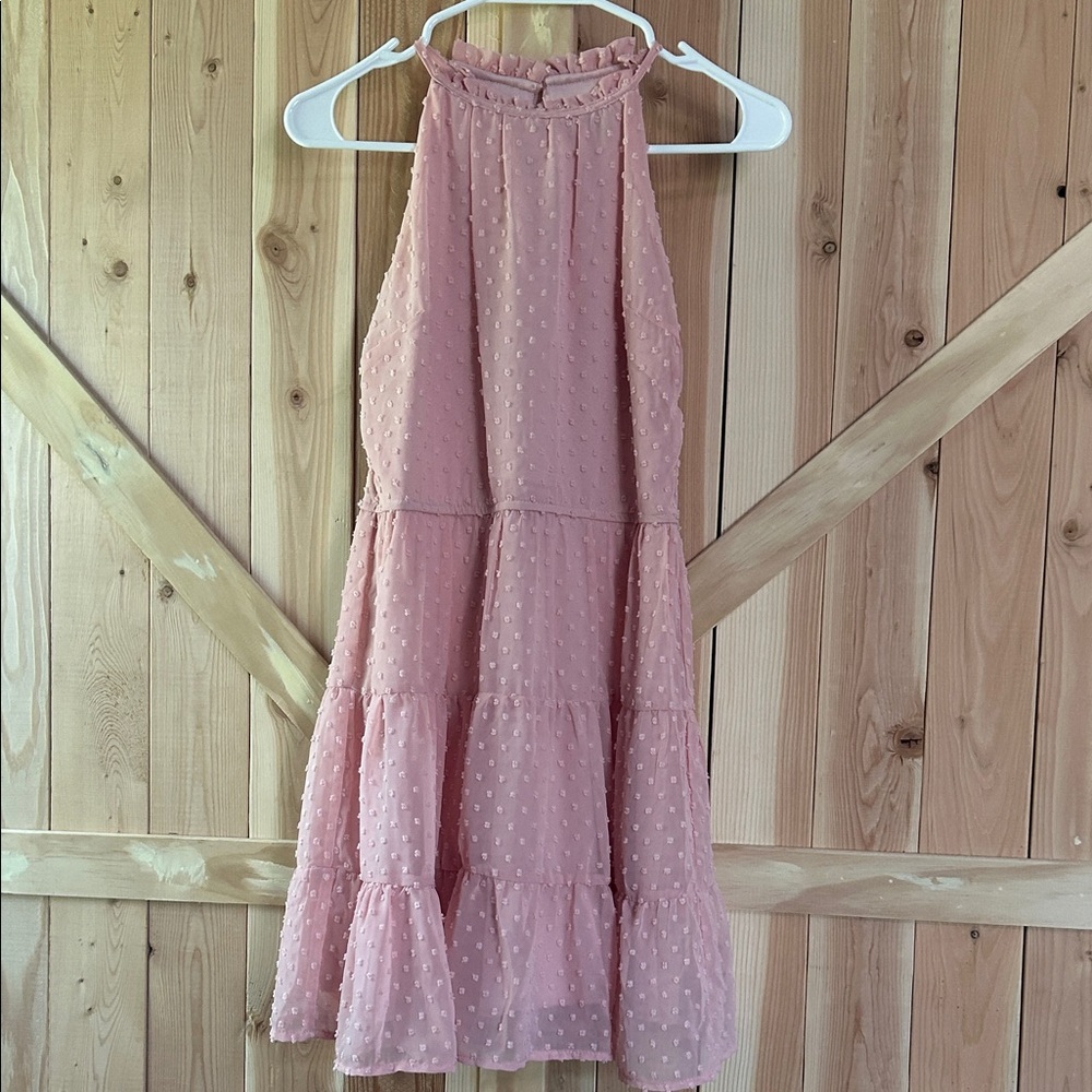 Trixxi Dusty Pink Swiss Dot Dress